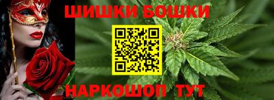 дживик Новодвинск