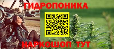 дживик Новозыбков