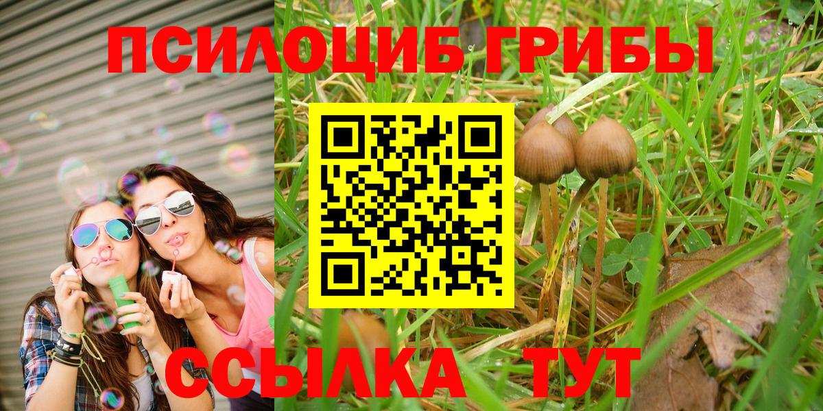 Псилоцибиновые грибы MAGIC MUSHROOMS  Вход с VPN  Сертолово 